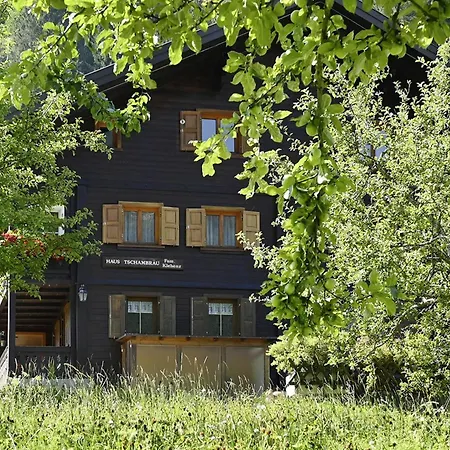 Haus Tschambraeu 아파트 사슈른